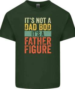 It's Not a Dad Bod It's a Father Figure Father's Day Mens Funny T Shirt