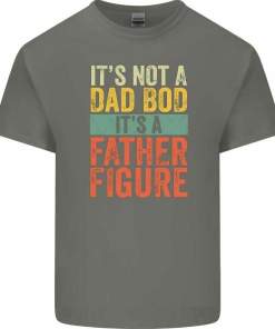 It's Not a Dad Bod It's a Father Figure Father's Day Mens Funny T Shirt