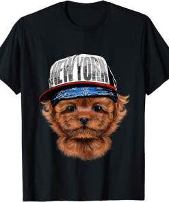 Shirt, Red Apricot Rapper Poodle Puppy, Hip Hop Dog